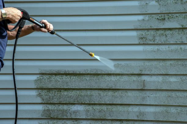 Best Solar Panel Cleaning  in Mount Pleasant, MI